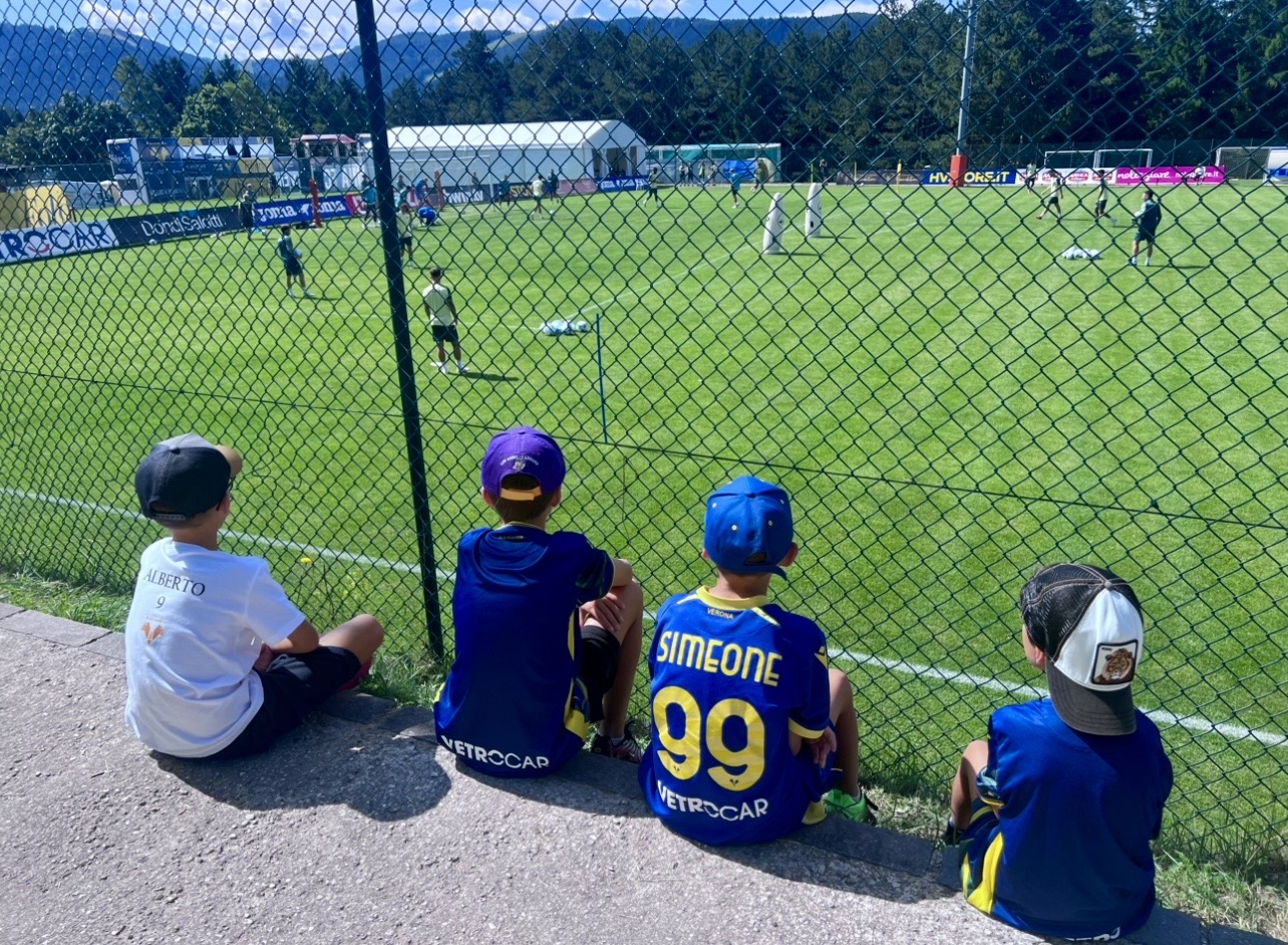 Hellas Verona, futuro gialloblù