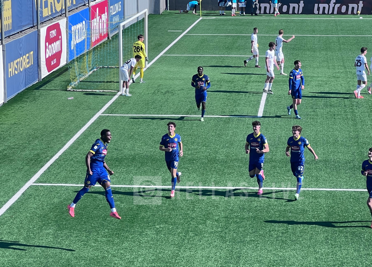 UFFICIALE. Hellas Verona, Nwachukwu in prestito al Livorno