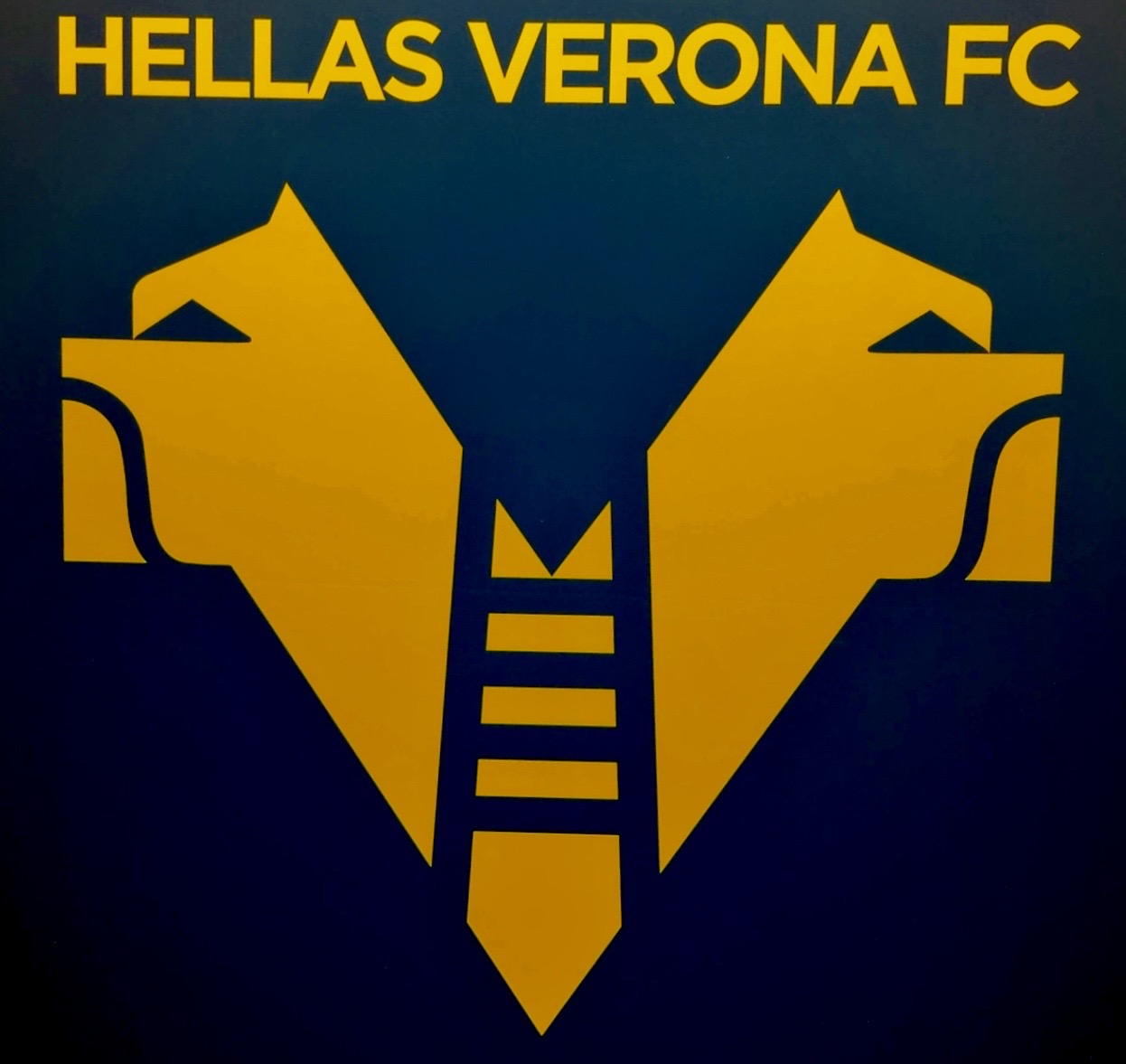 Hellas Verona: operazione salvezza