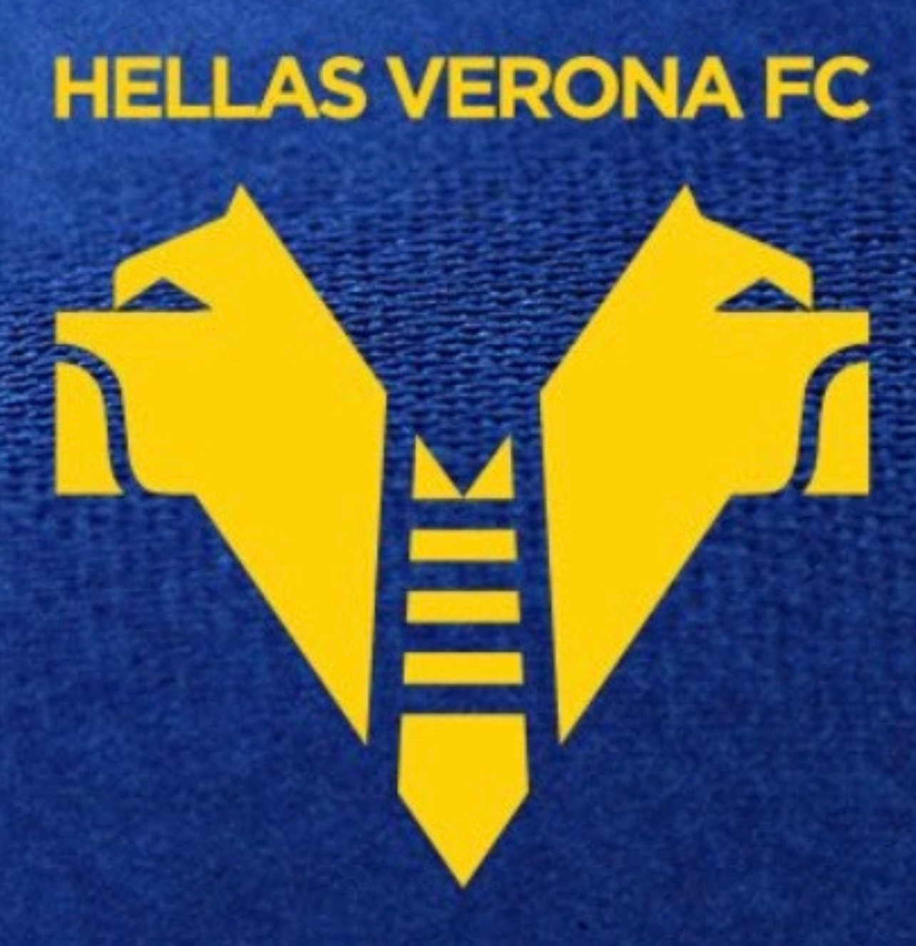 Hellas Verona 2025/26