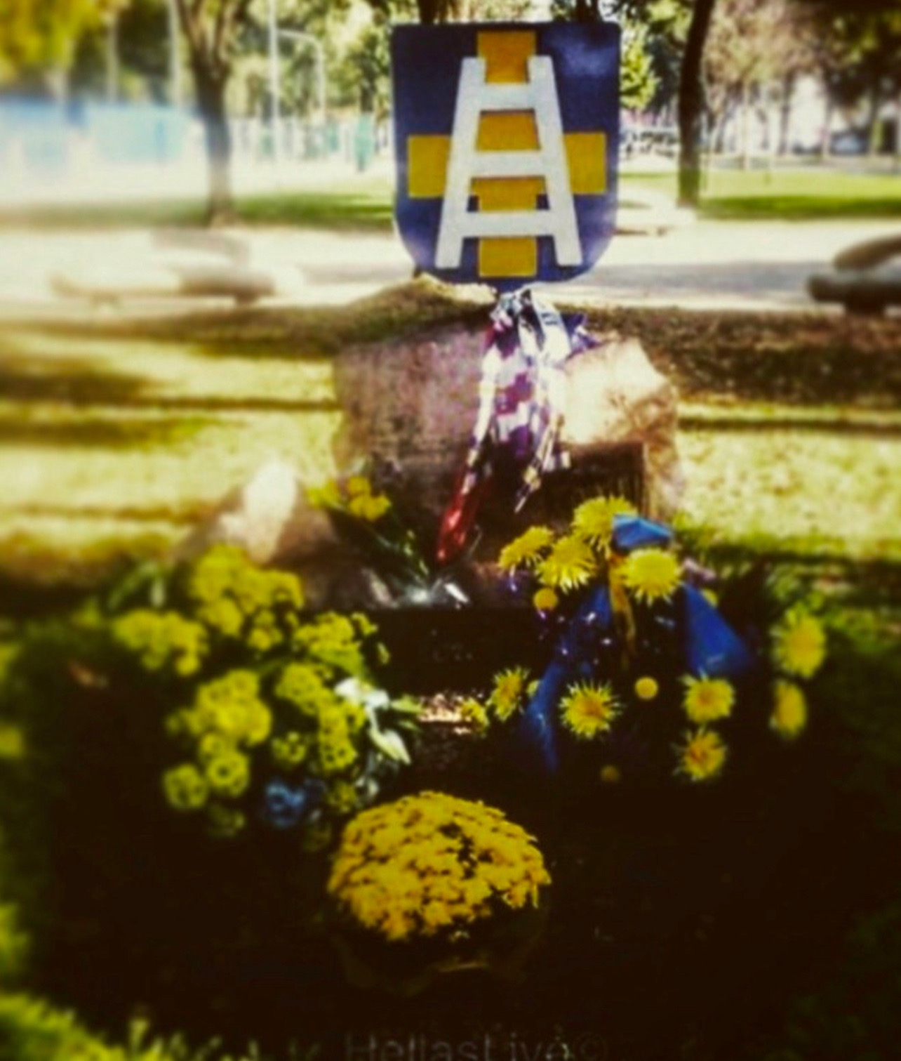 Per sempre voleremo in alto