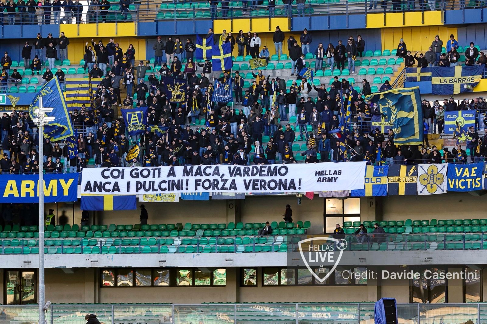 Coi goti a maca, vardemo anche i pulcini! Forza Verona!