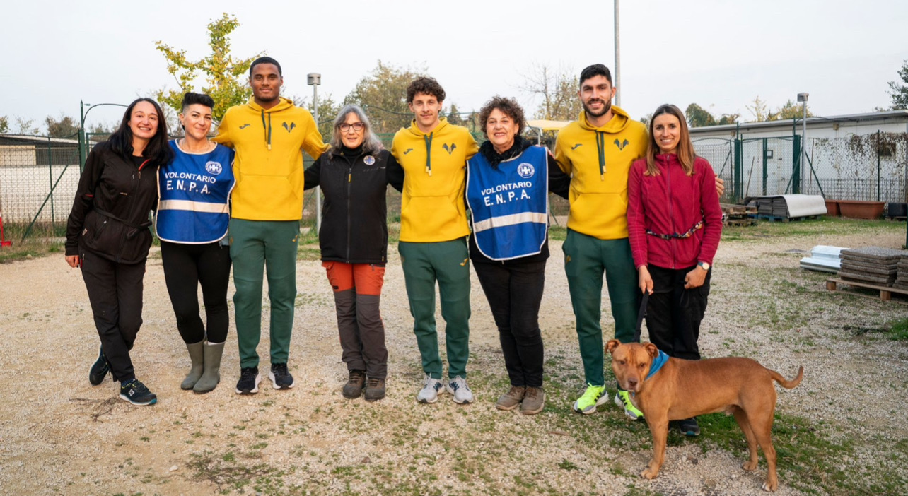 Hellas Verona ancora al fianco di ENPA e degli ospiti del Rifugio del cane e del gatto