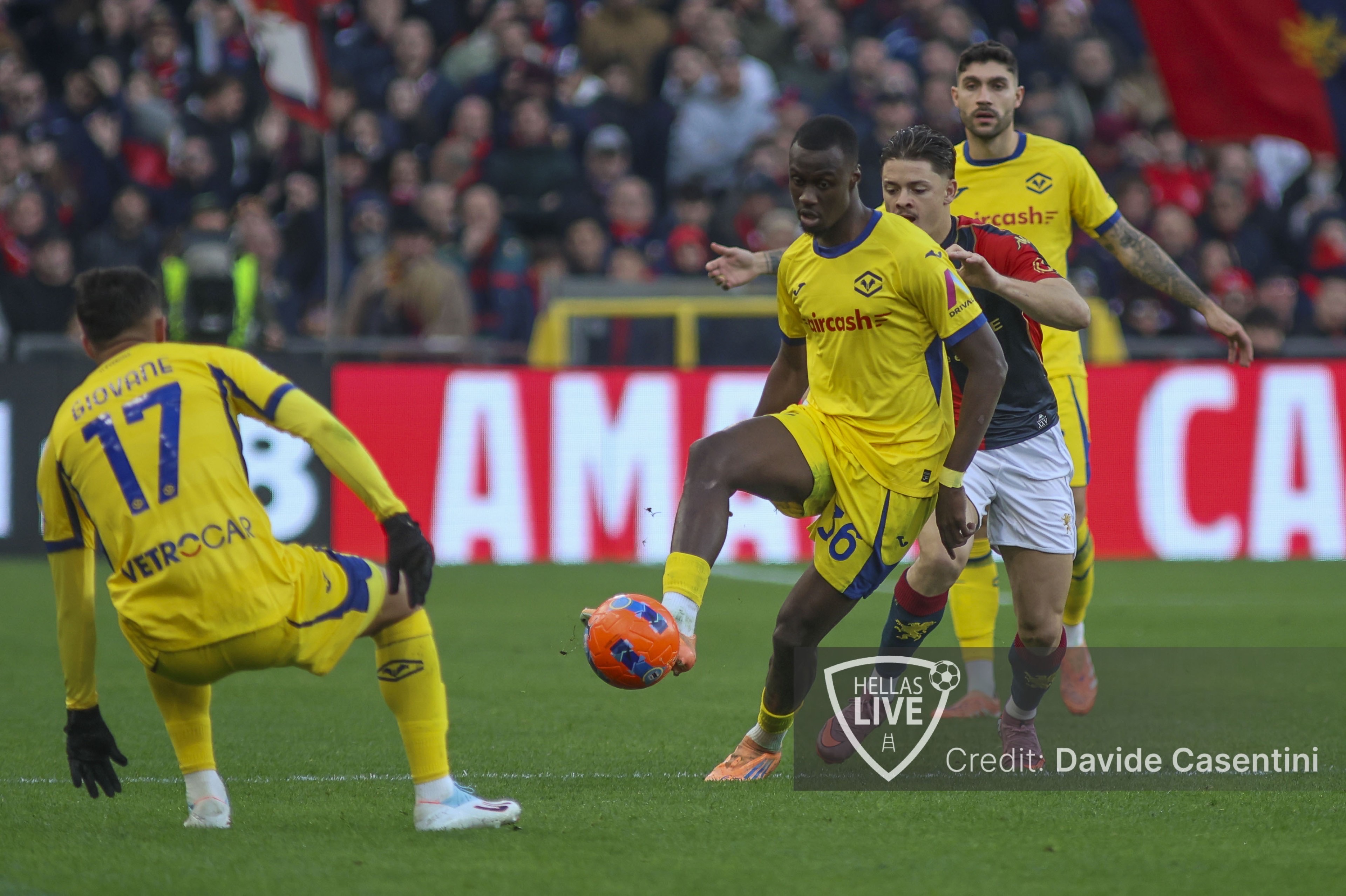 Hellas Verona-Atalanta, se non recupera Akpa-Akpro, pronto Niasse