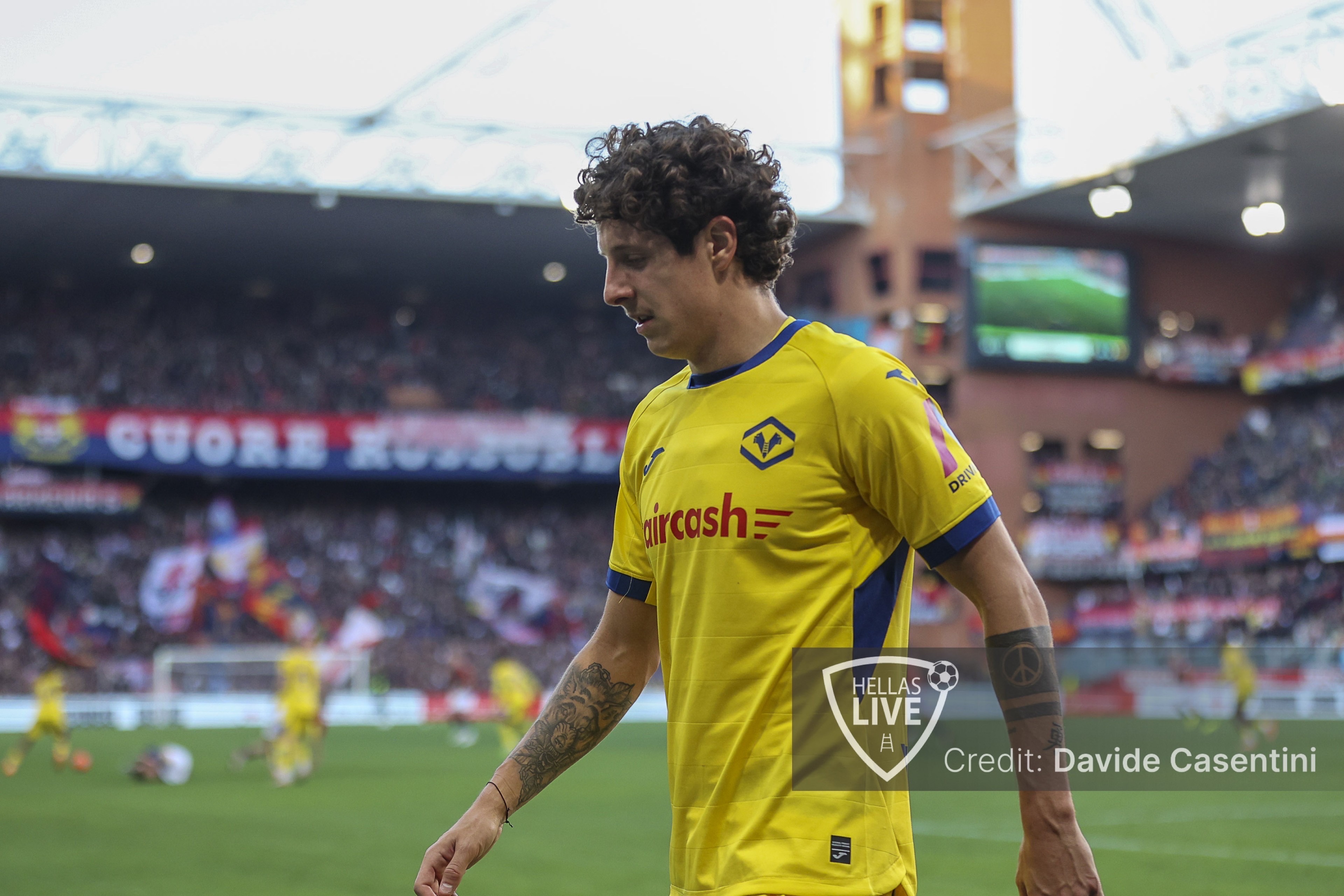 Hellas Verona, lesione miofasciale al bicipite femorale sinistro per Bradaric