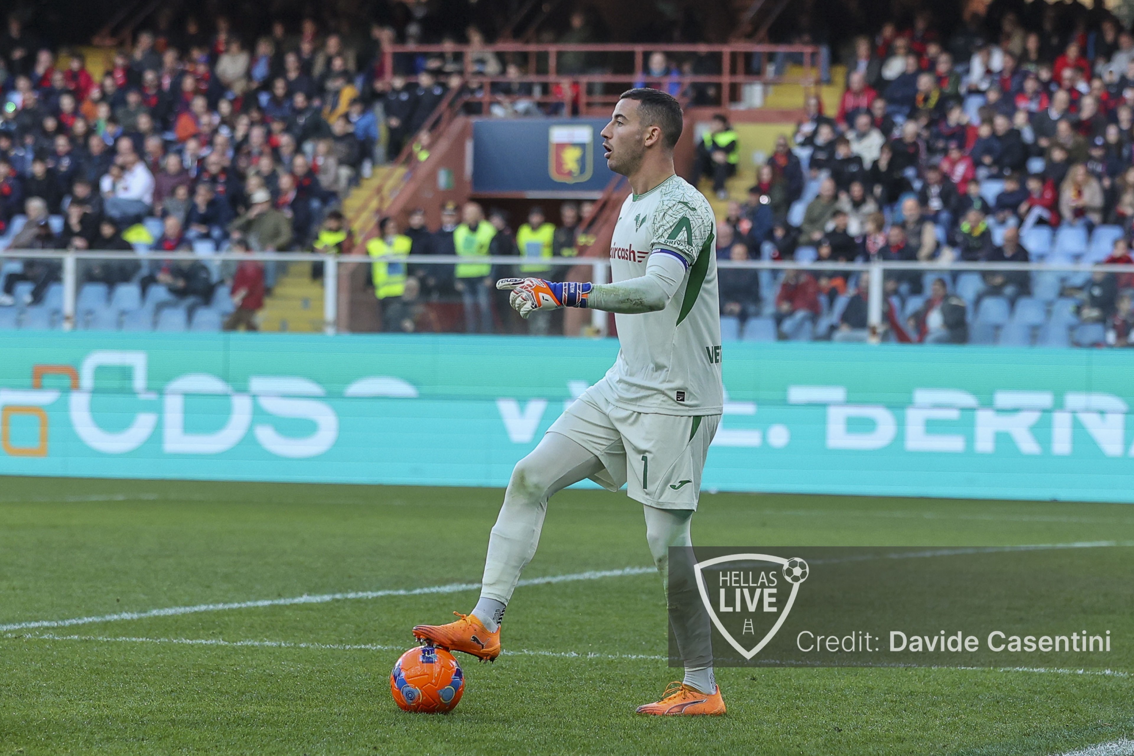 Fiorentina-Hellas Verona, la probabile formazione dei gialloblù