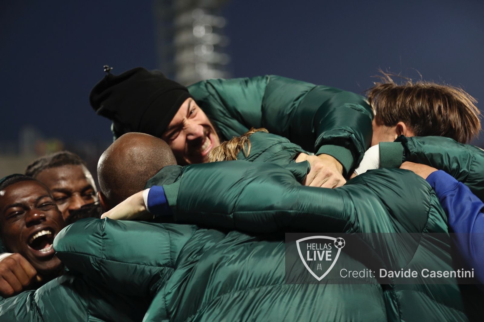 Pagelle gialloblù. Fiorentina-Hellas Verona 1-2