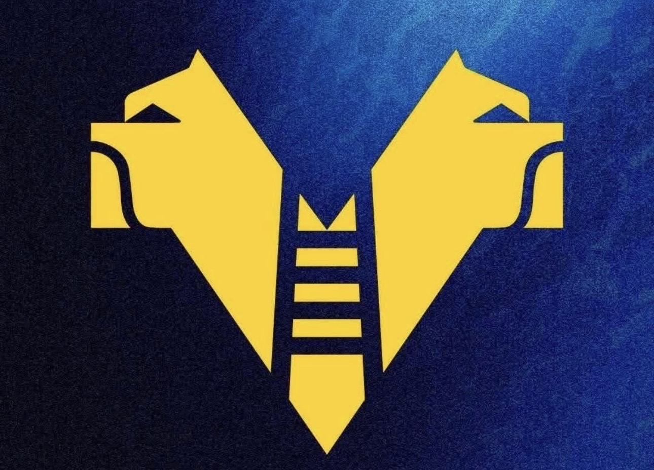 Parma-Hellas Verona 2-1. Società scaligera in silenzio stampa