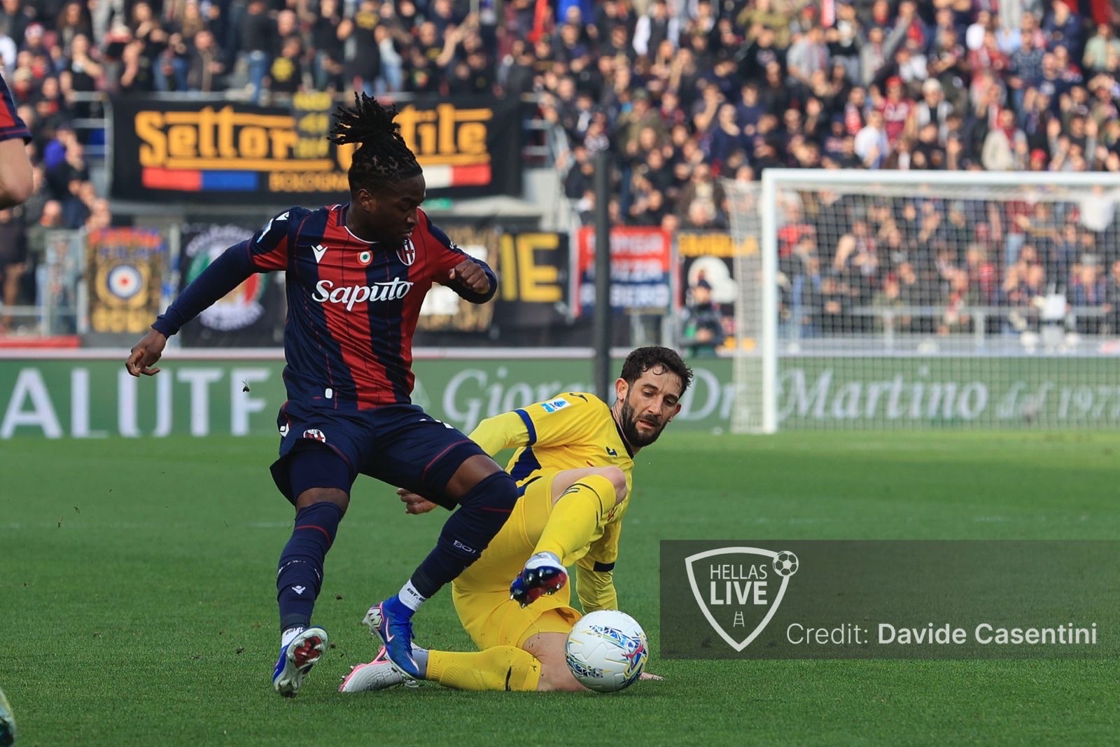 Bologna-Hellas Verona 1-0, al 49’ la sblocca Rowe