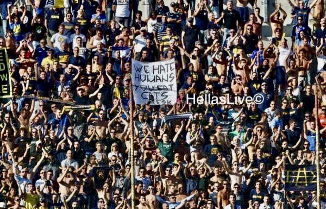 Il Vicenza torna in Serie B dopo quattro anni