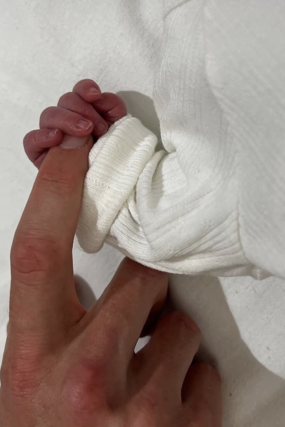 Hellas Verona, fiocco rosa in casa Frese