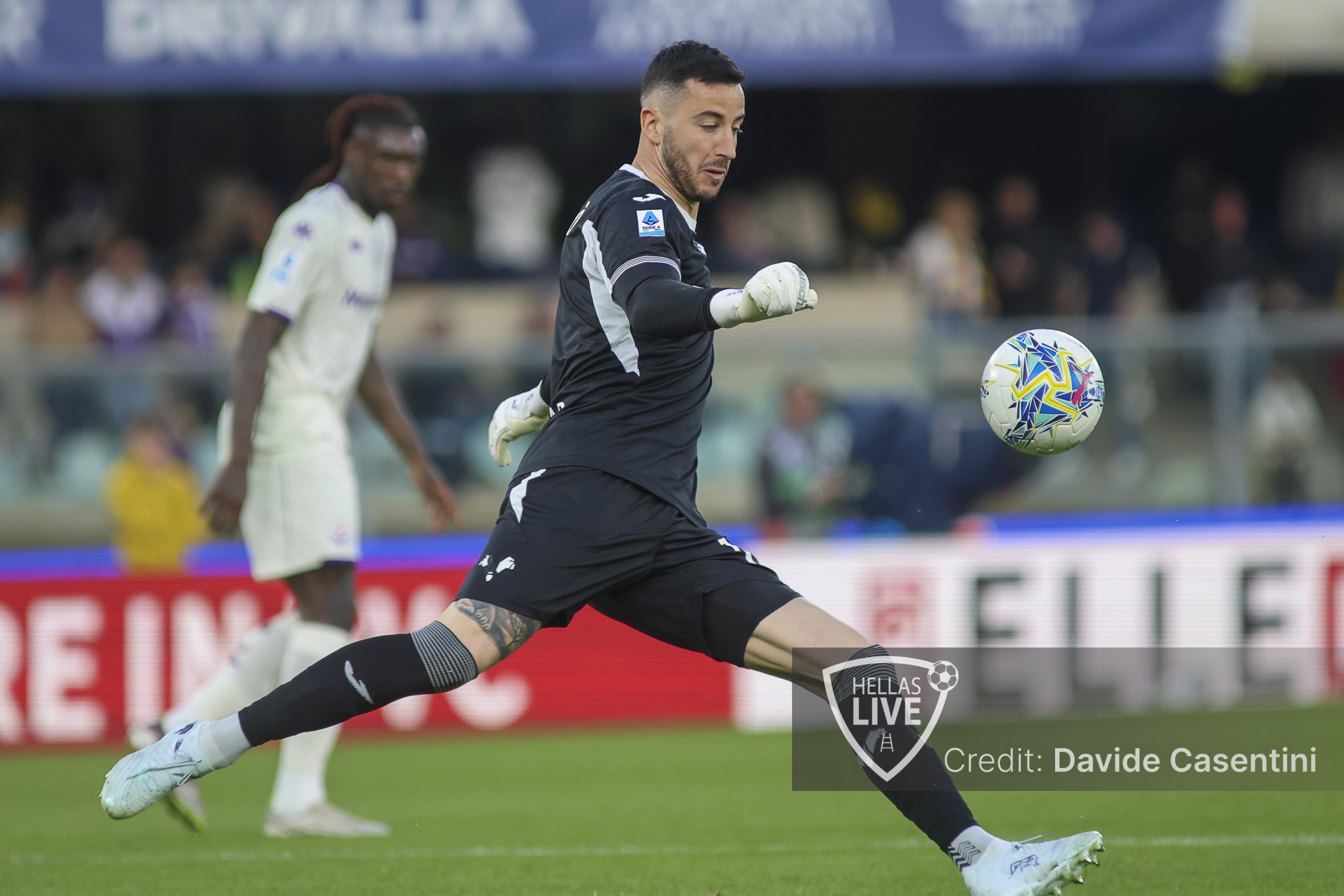 Hellas Verona, allenamento questa mattina. Ore 15 conferenza Sammarco