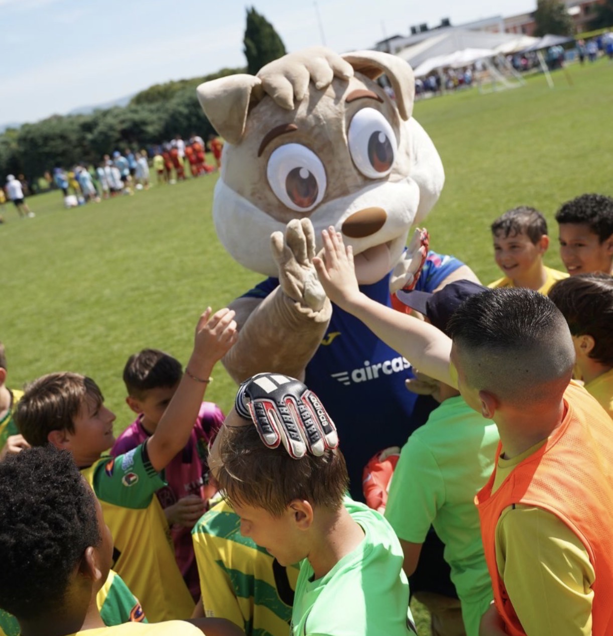 Hellas Cup 2026: undicesima edizione del torneo dedicato alle società affiliate gialloblù