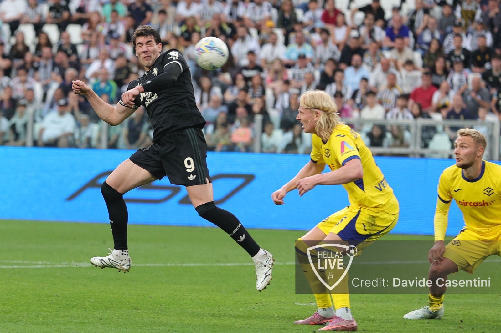 Cuore Gialloblù, Edmundsson il più votato contro la Juventus