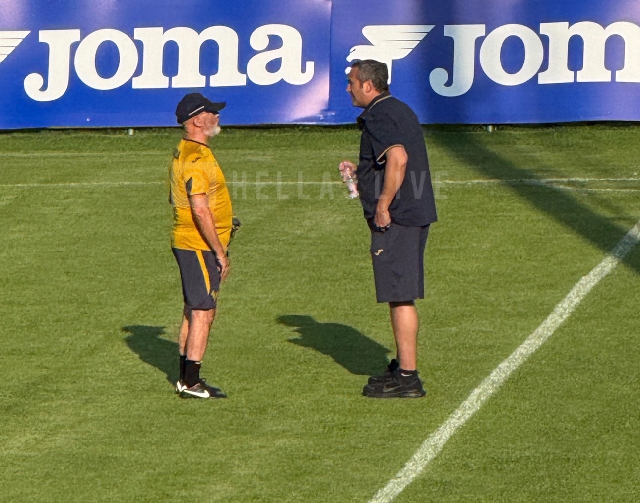 Hellas Verona, Gianni Vio collaboratore dello staff di Baroni
