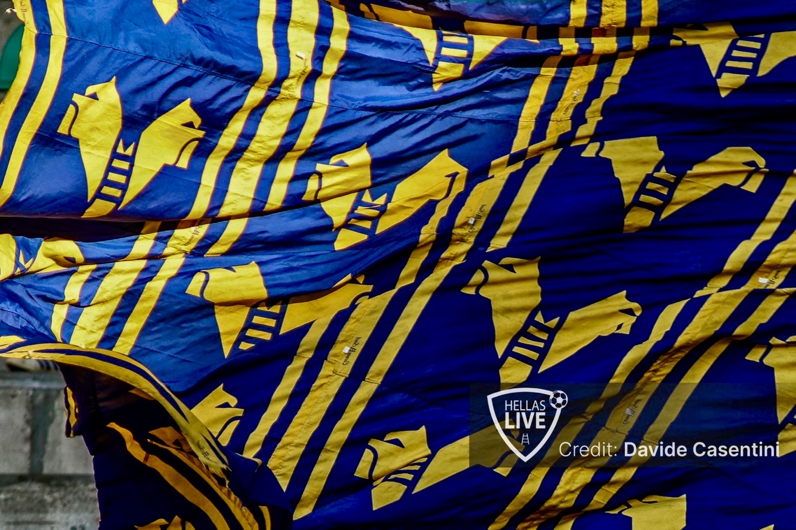 Padova-Hellas Verona, Settore Ospiti esaurito
